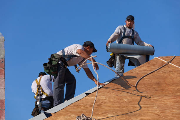 Best Commercial Roofing Services  in Holly Hills, CO