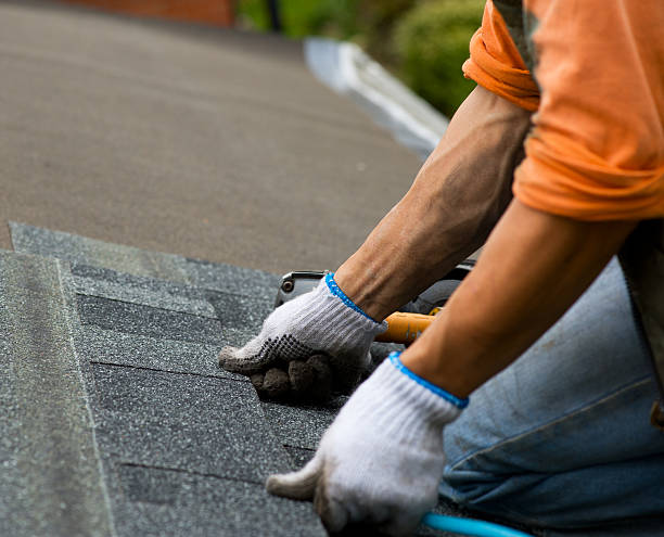Best Local Roofing Companies  in Holly Hills, CO