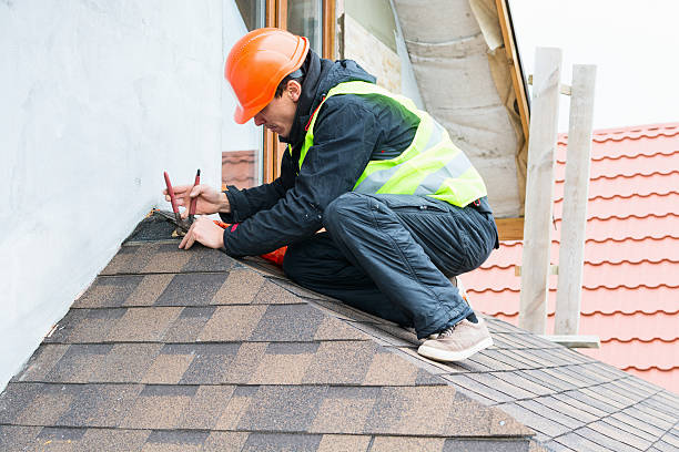 Best Metal Roofing Contractor  in Holly Hills, CO