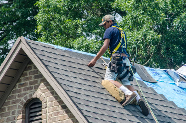 Best Storm Damage Roof Repair  in Holly Hills, CO